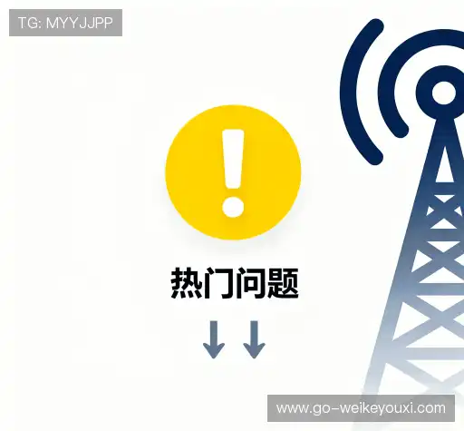 用户常见疑问